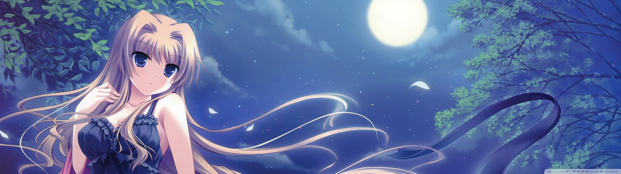 Anime Girl Dual Screen - HD Wallpaper 