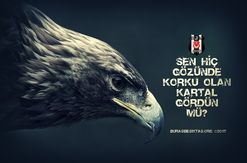 Sen Hic Gozunde Korku Olan Kartal Gordun Mu7c375f0503463c05 - Beak Of Golden Eagle For Drawing - HD Wallpaper 