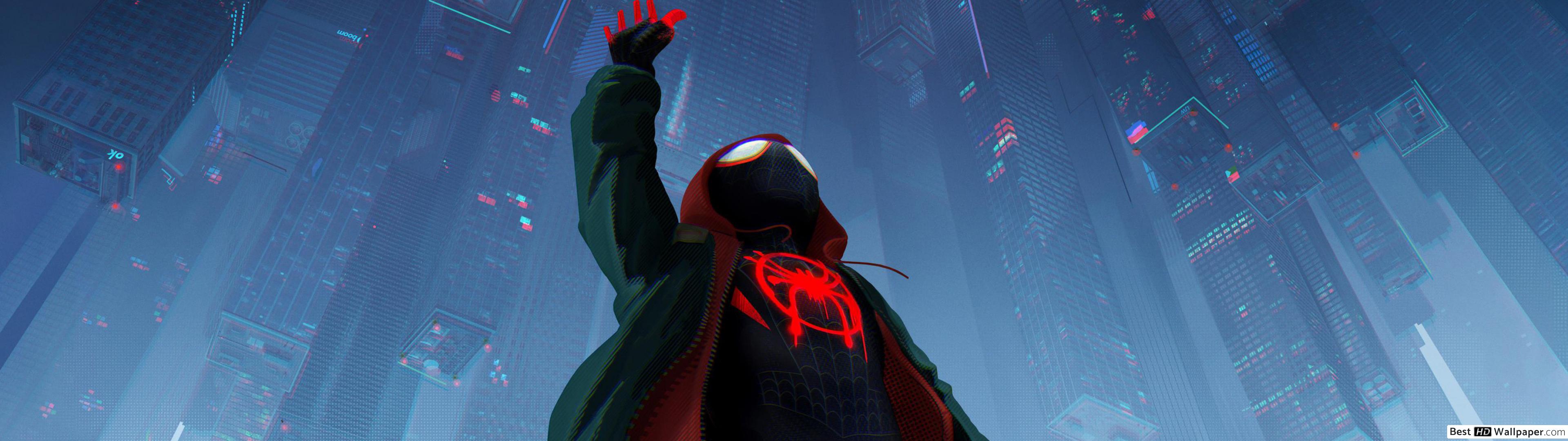 Spider Man Into The Spider Verse - HD Wallpaper 
