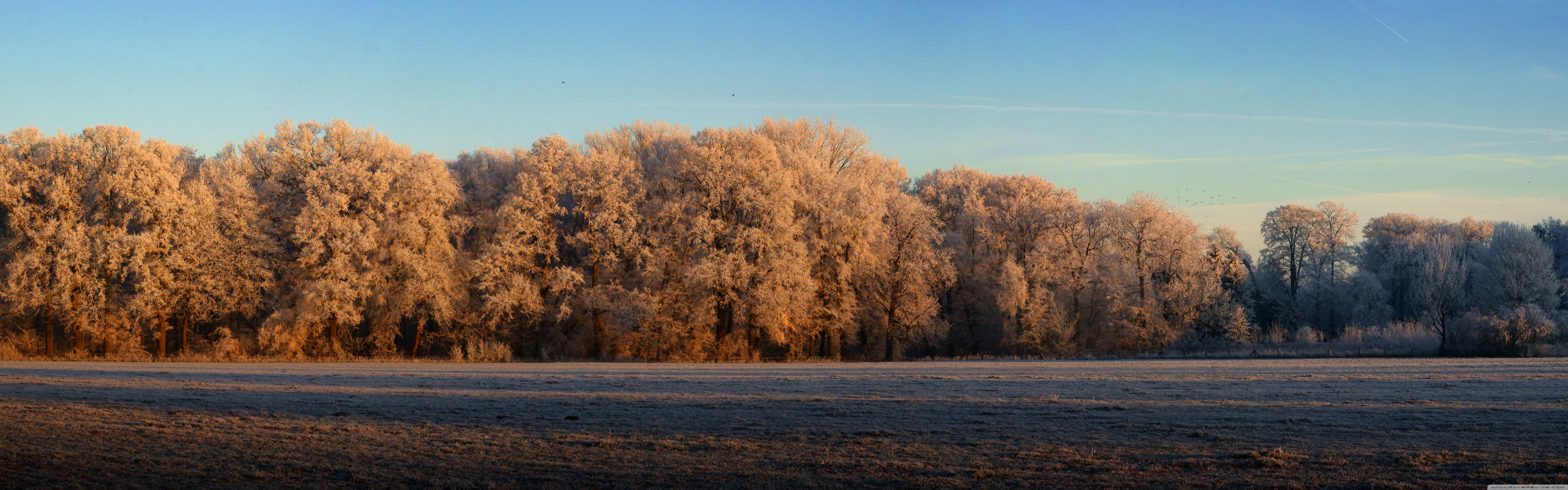 Wallpaper - HD Wallpaper 