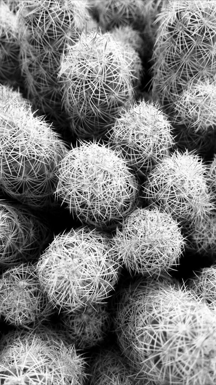Black And White Iphone Xr - 750x1334 Wallpaper Black And White Iphone Xr - 750x1334 Wallpaper