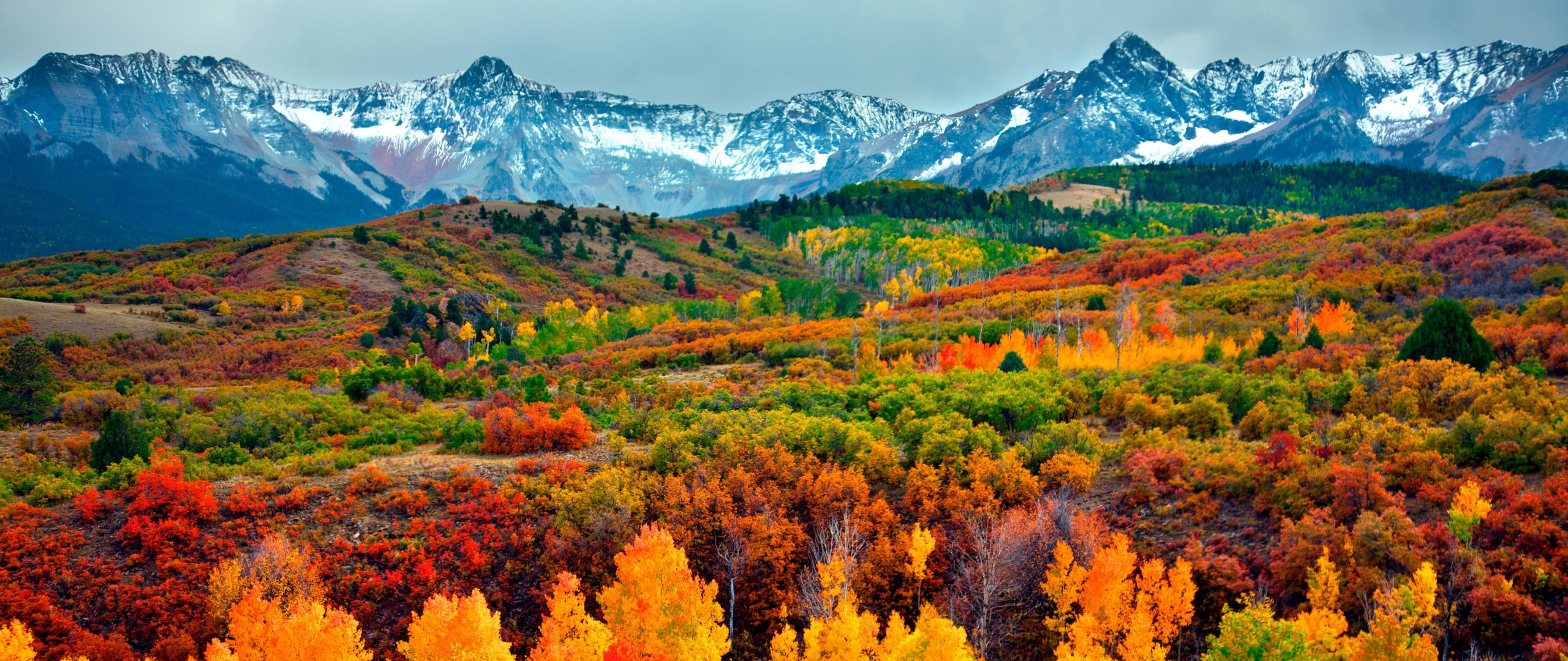 Colorado Fall Colors 2018 - HD Wallpaper 