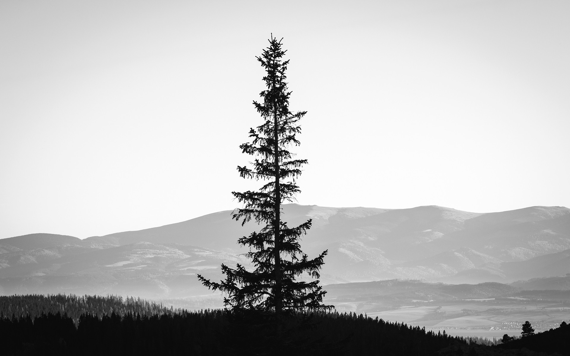 White, Black, Silhouette, Landscapes, Landscape,hd - Mountain Landscapes Black And White - HD Wallpaper 