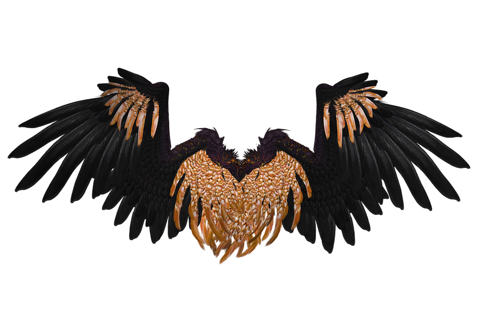 Thumb Image - Black Angel Wings Art - HD Wallpaper 