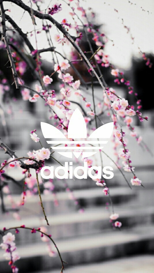 Background, Homescreen, Wallpaper - Adidas Cherry Blossom - HD Wallpaper 