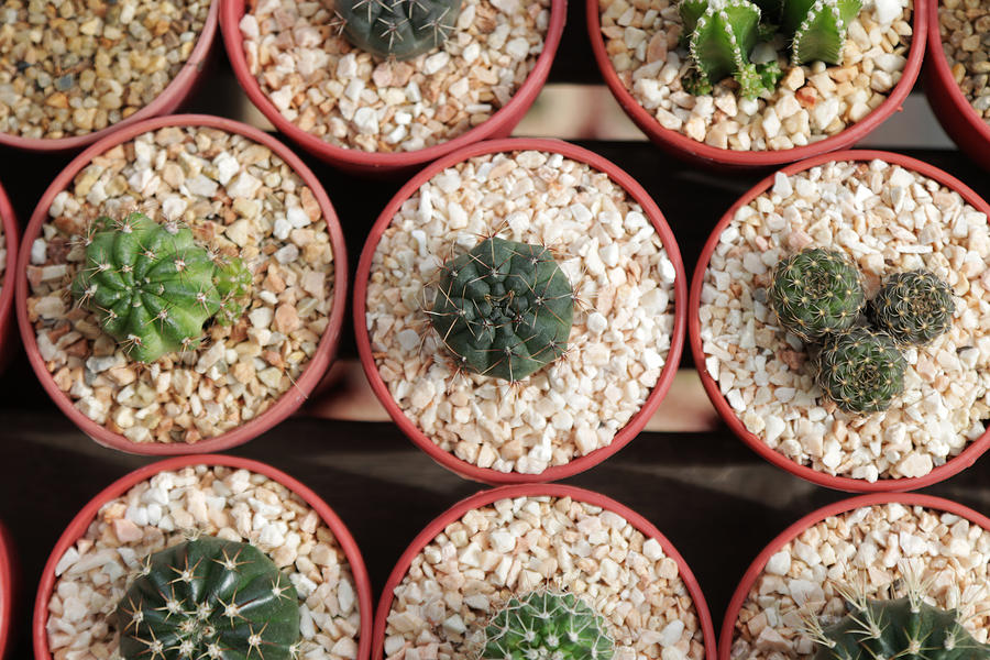 Wallpaper - HD Wallpaper 