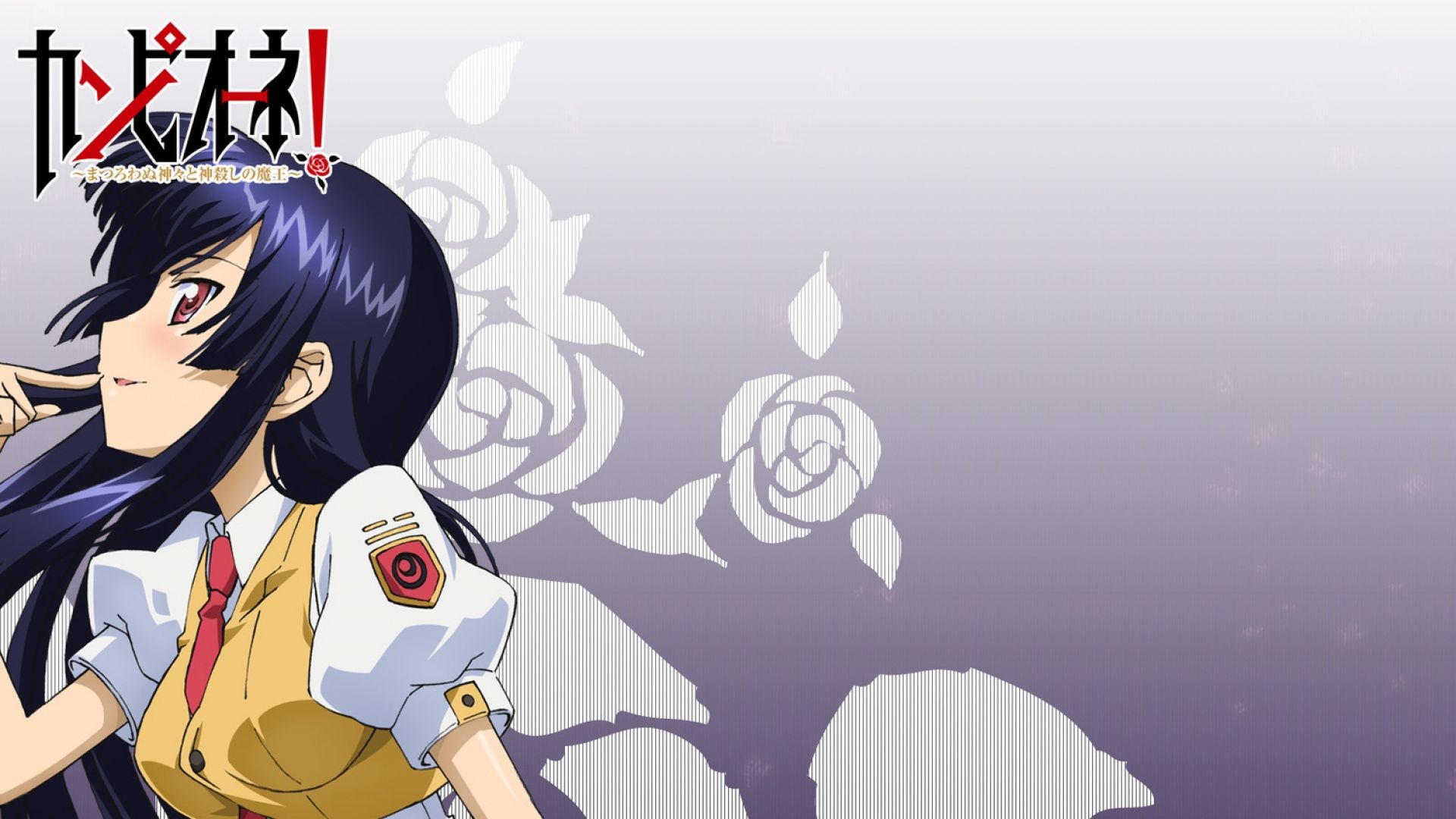 Campione Characters - HD Wallpaper 