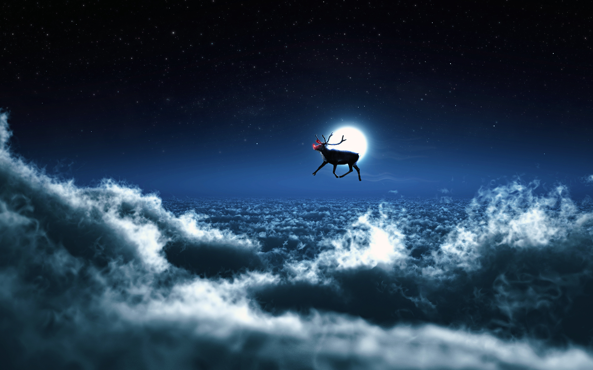 Santa Reindeer - Christmas Reindeer Wallpaper Hd - HD Wallpaper 