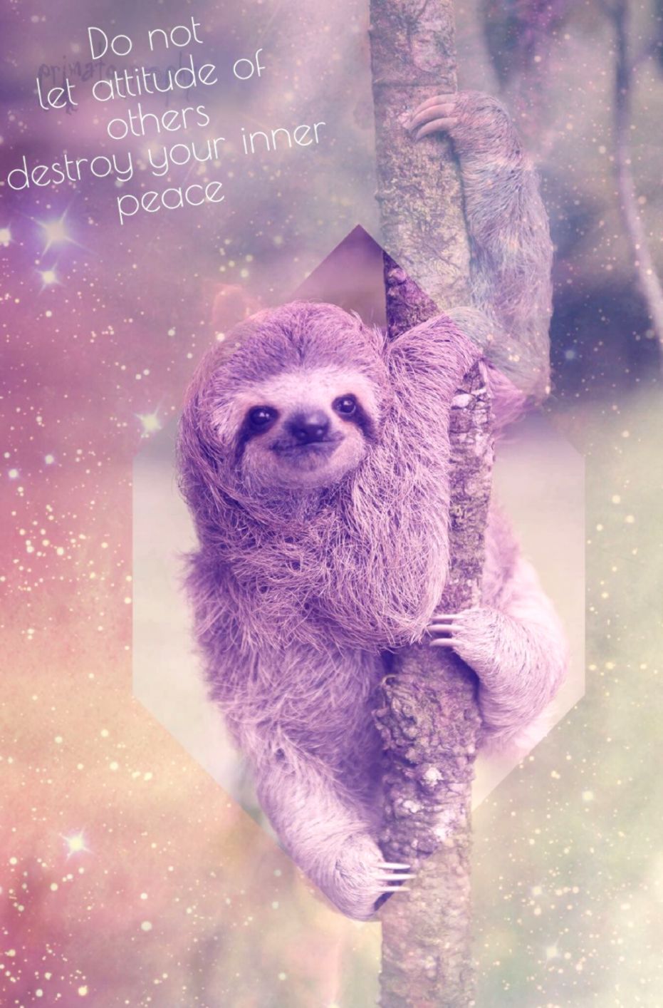 Wallpaper Wallpapers Colorful Sloth Sloths - Iphone Wallpaper Cute Sloth - HD Wallpaper 