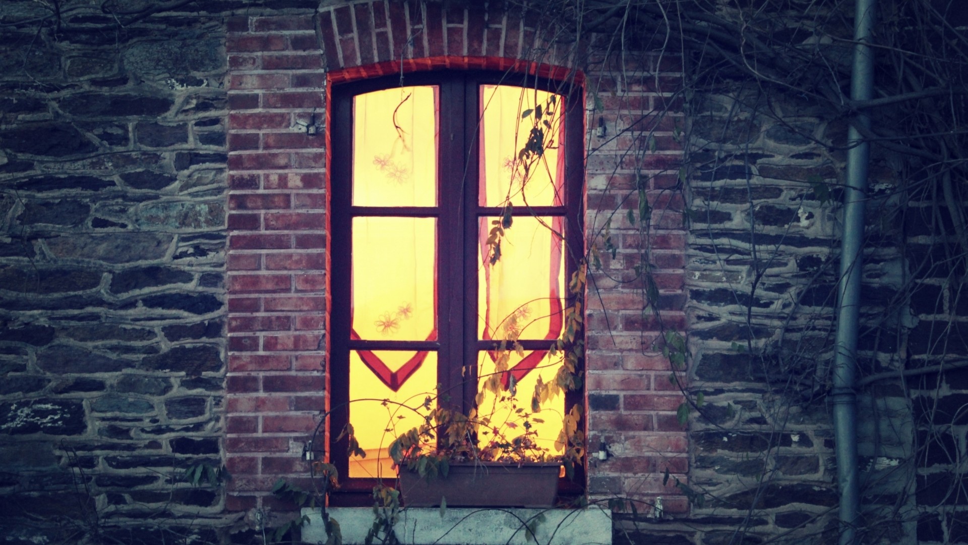 1920x1080, 
 Data Id 52945 
 Data Src /walls/full/f/e/e/52945 - Home Window At Night - HD Wallpaper 