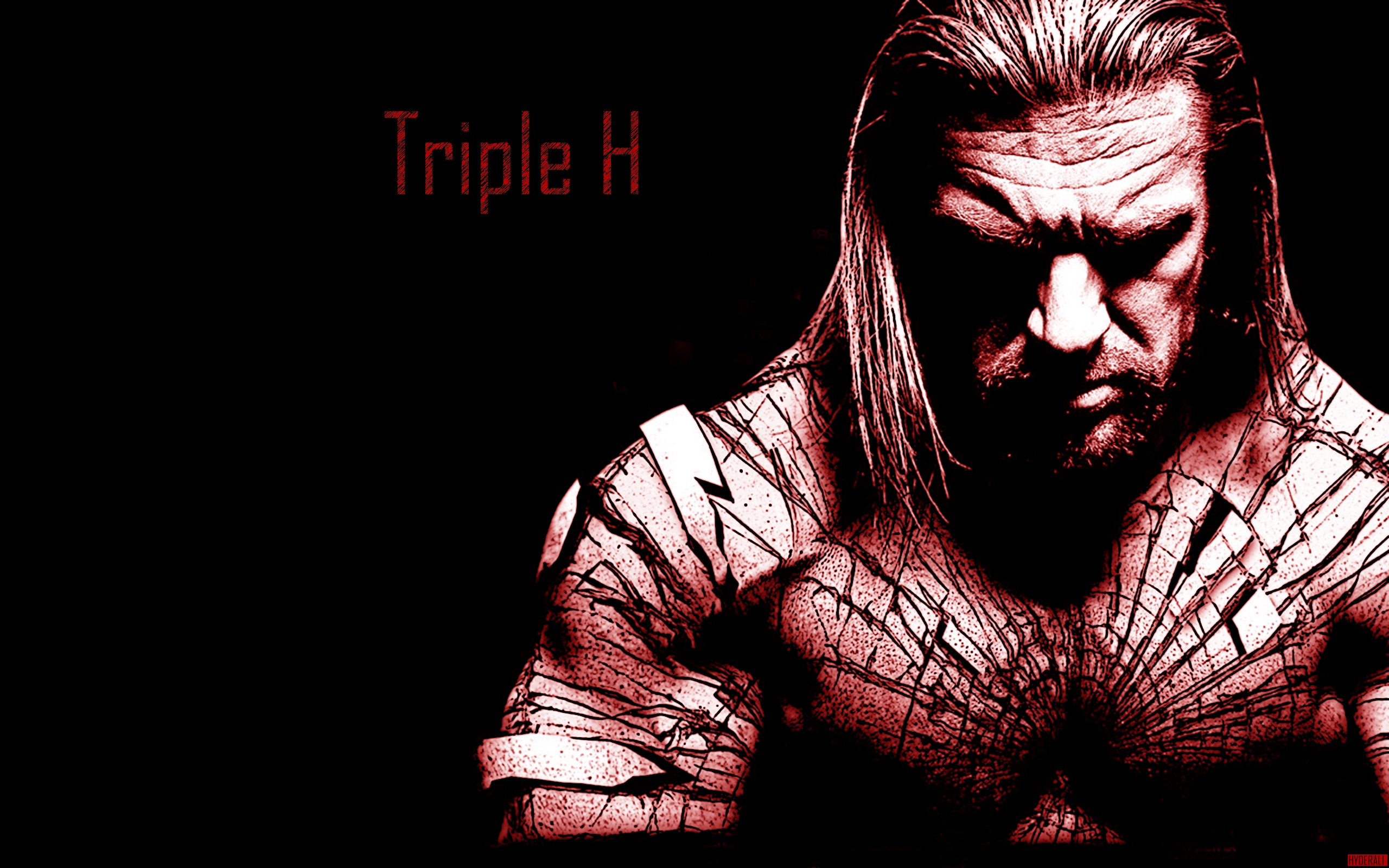 Triple H Wwe The Game Hd Wallpaper - Triple H Wallpaper 4k - 2560x1600  Wallpaper 