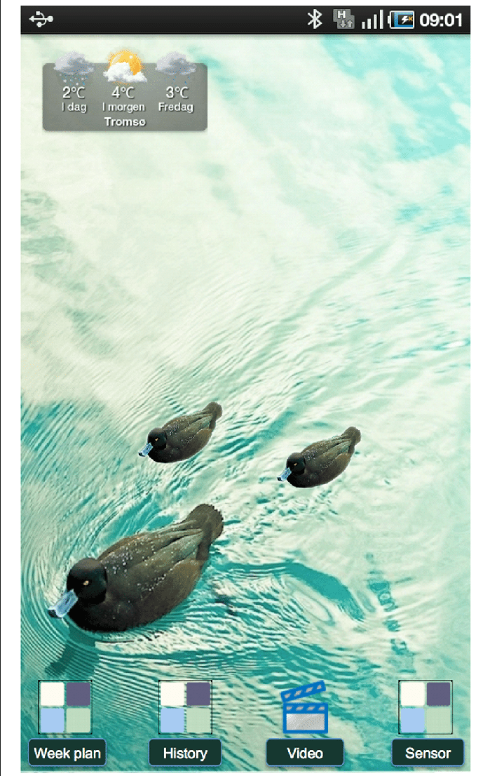 Two Rewards On The Wallpaper - Marine Biology - HD Wallpaper 