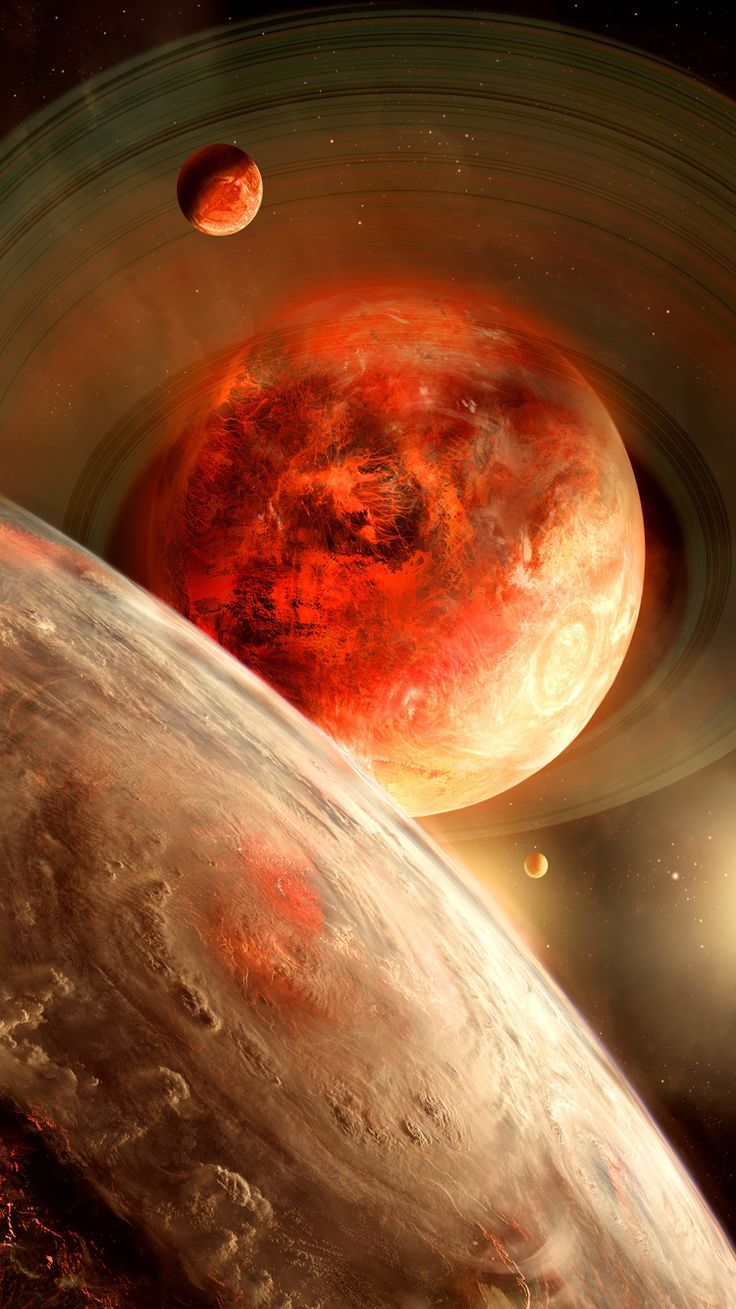 Wallpaper - HD Wallpaper 