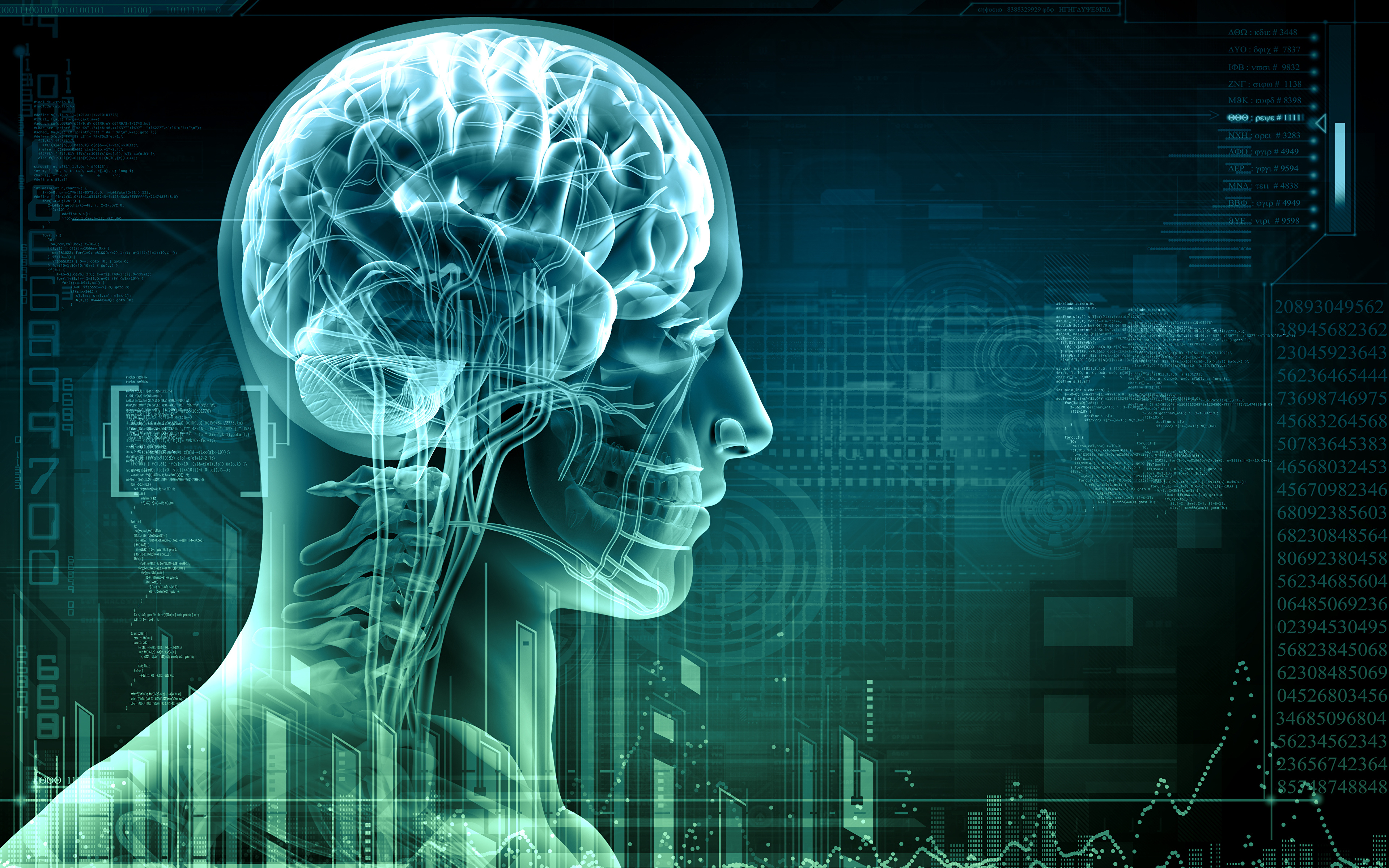 Human Brain - HD Wallpaper 