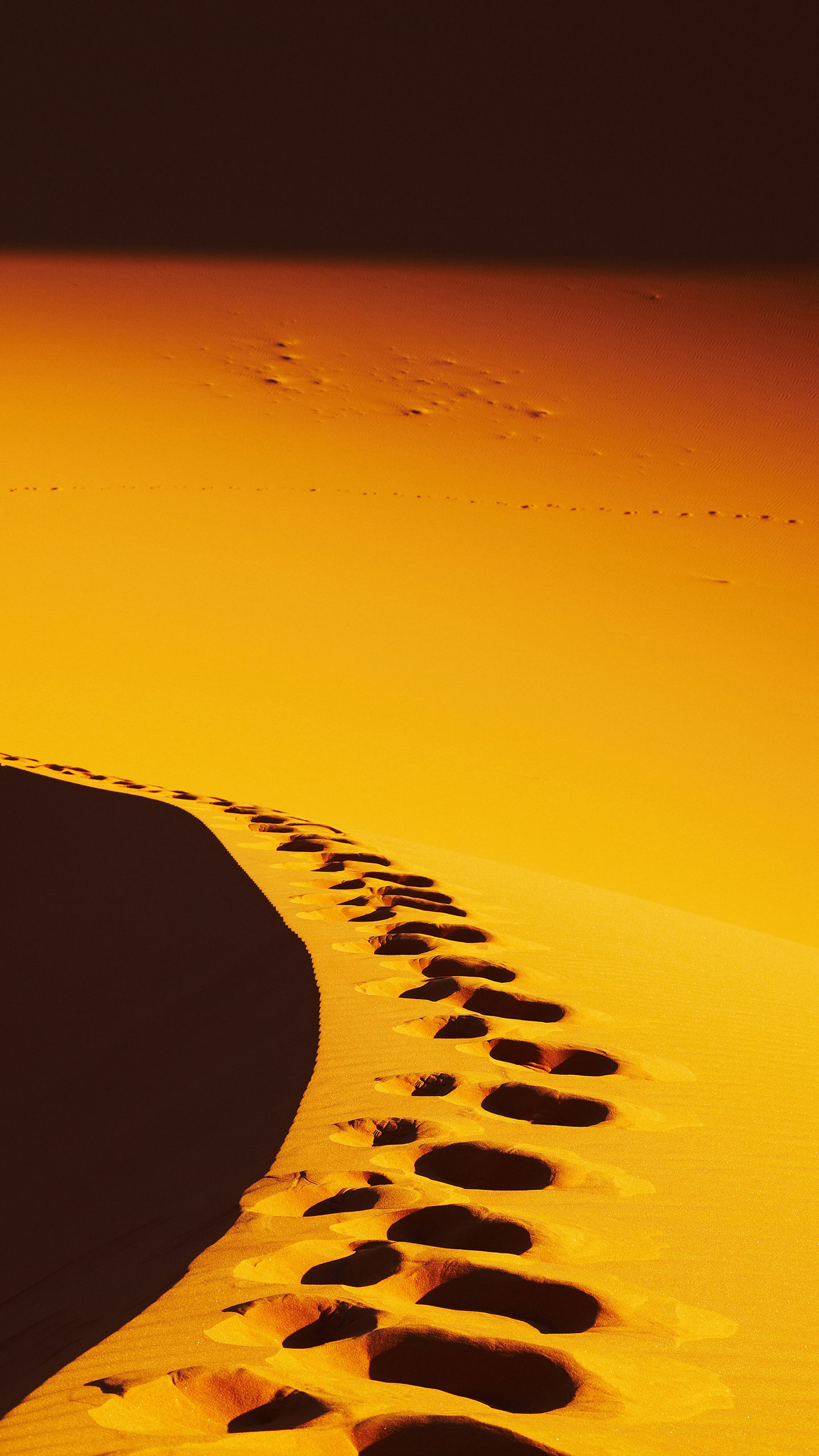 Wallpaper - HD Wallpaper 