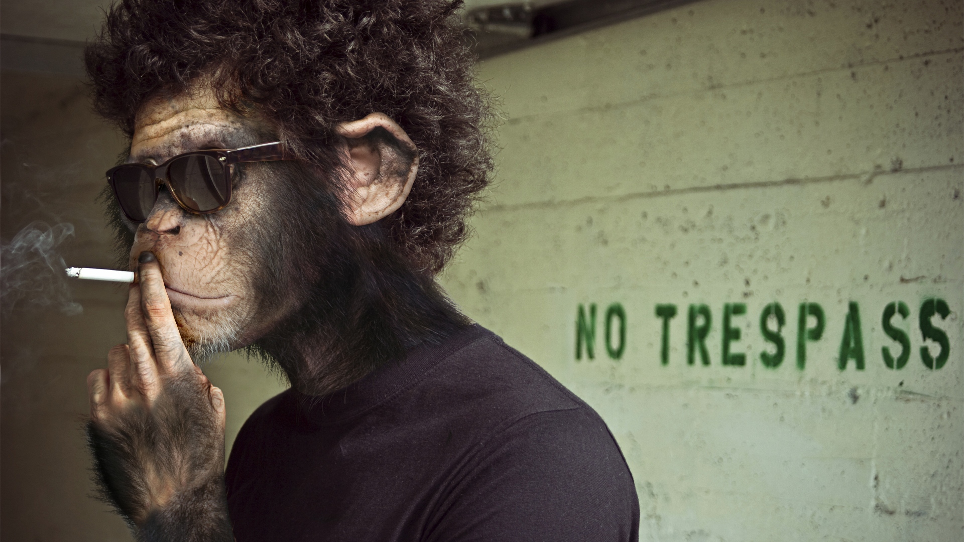 Tweeter And The Monkey Man 1920x1080 Wallpaper teahub.io