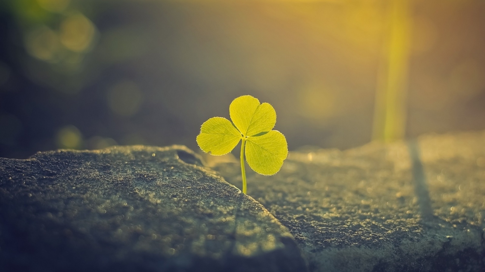 Inspired By Others Quotes - HD Wallpaper 