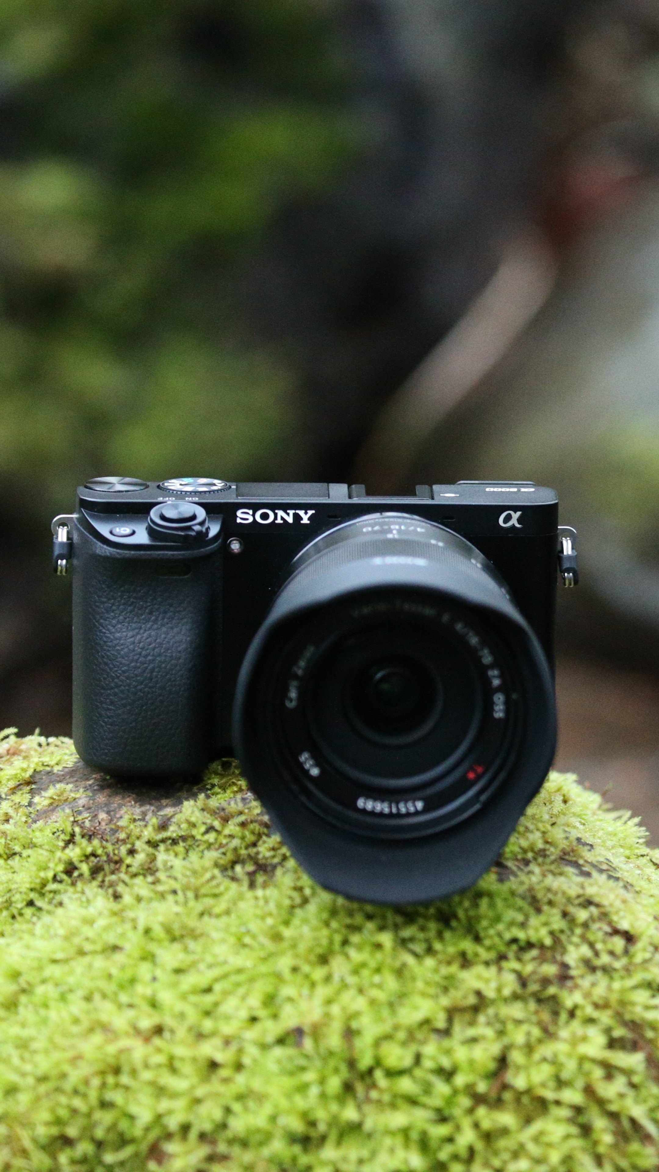 Photography Sony Alpha 6000 - HD Wallpaper 