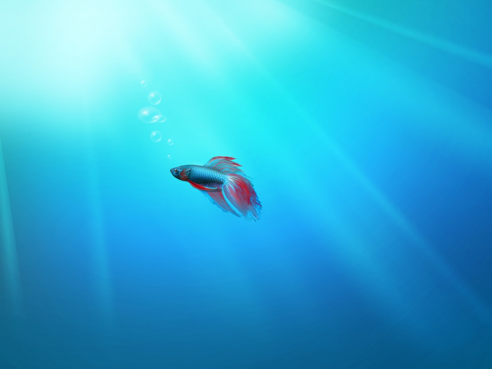 Windows 7 - HD Wallpaper 