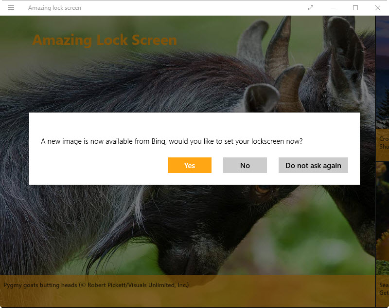 Windows 10 Lock Screen - Stallion - HD Wallpaper 