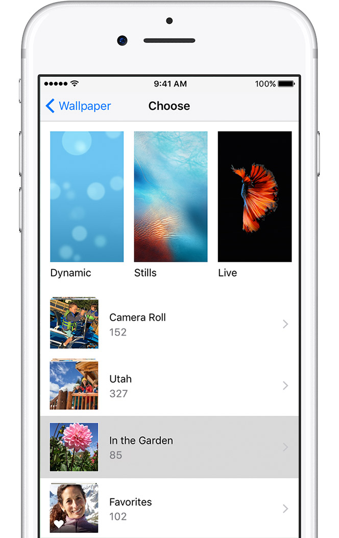 Choose Screen - Set Wallpaper In Iphone - HD Wallpaper 