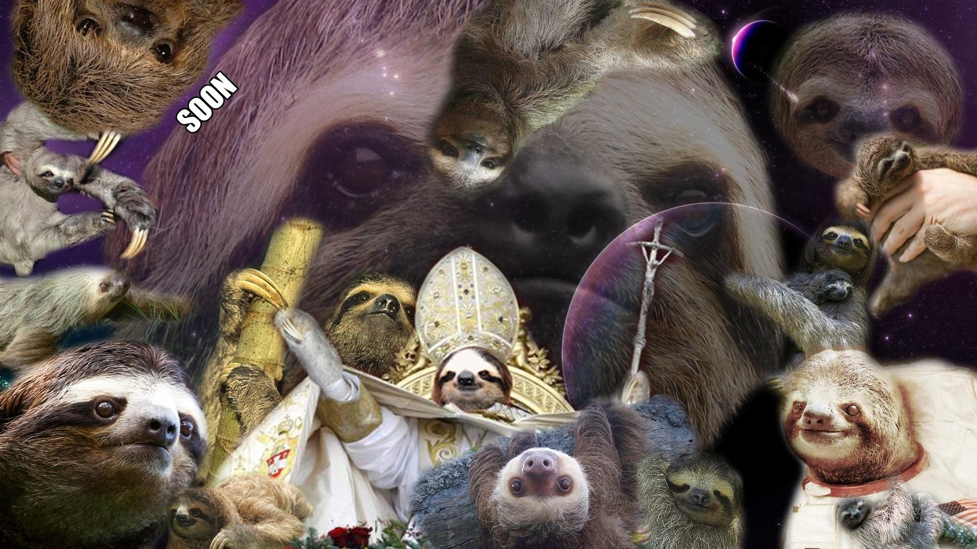 Find Upto Millions Of Wallpaper Collections From Our - Sloth Phone Wallpaper Collage - HD Wallpaper 