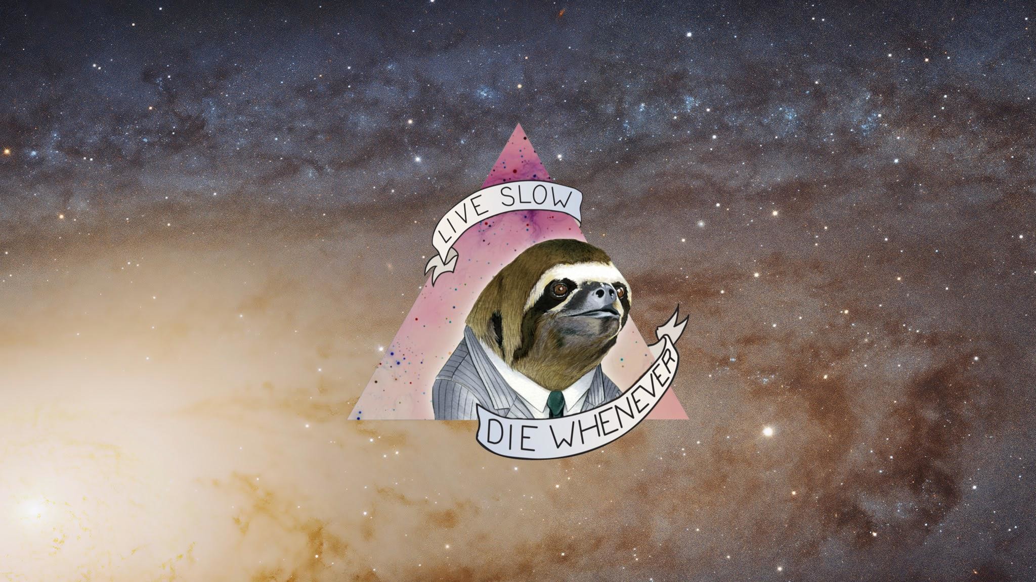 Sloth 2048 X 1152 - HD Wallpaper 