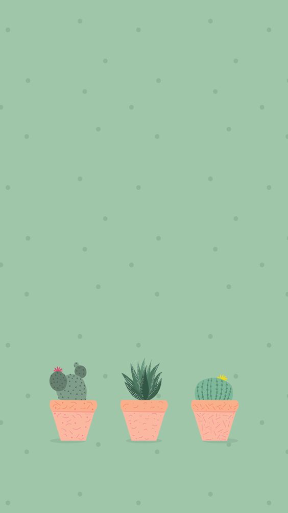 Prickly Pear - HD Wallpaper 