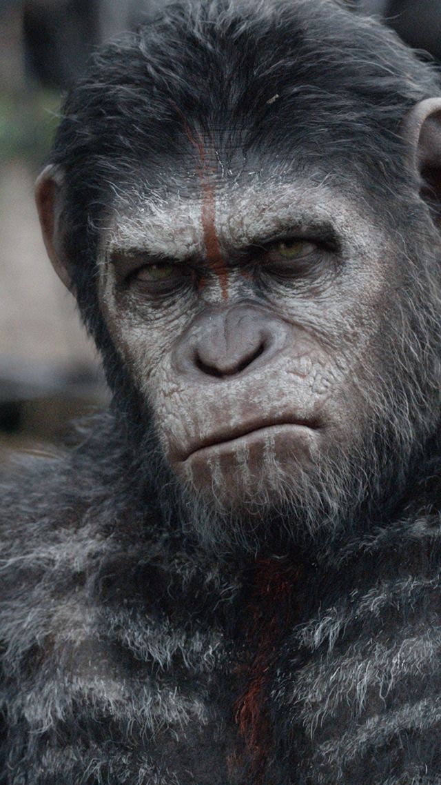 War For The Planet Of The Apes, 4k, 5k - Caesar Planet Of The Apes - HD Wallpaper 