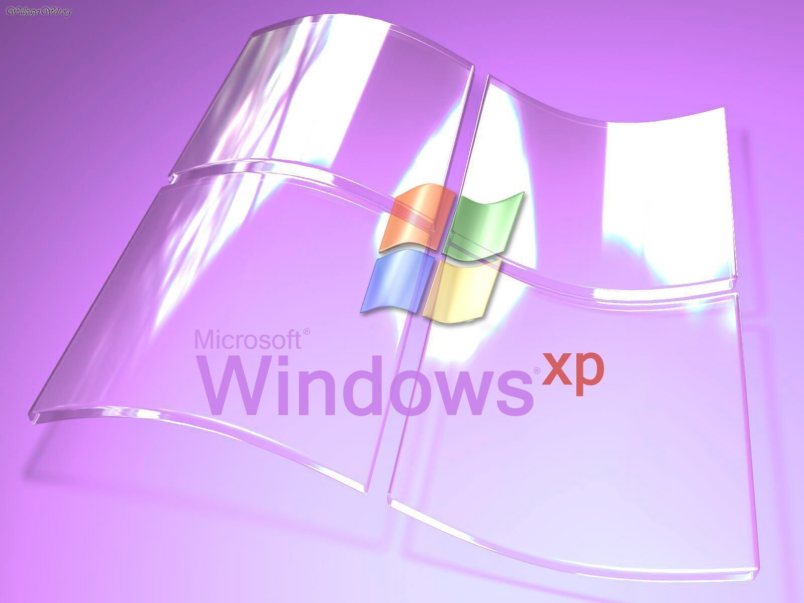 Windows Xp Wallpaper Purple - HD Wallpaper 