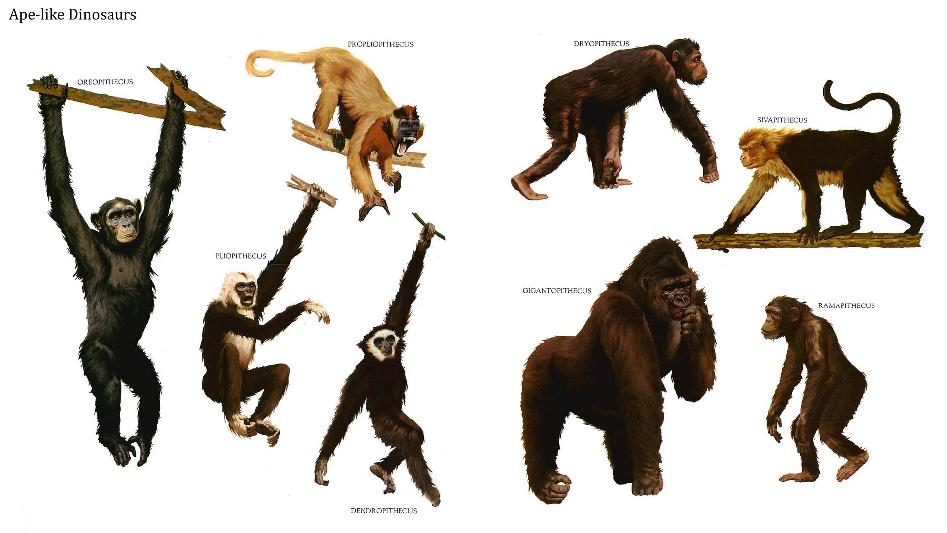 Apes - Dinosaur Ape - HD Wallpaper 