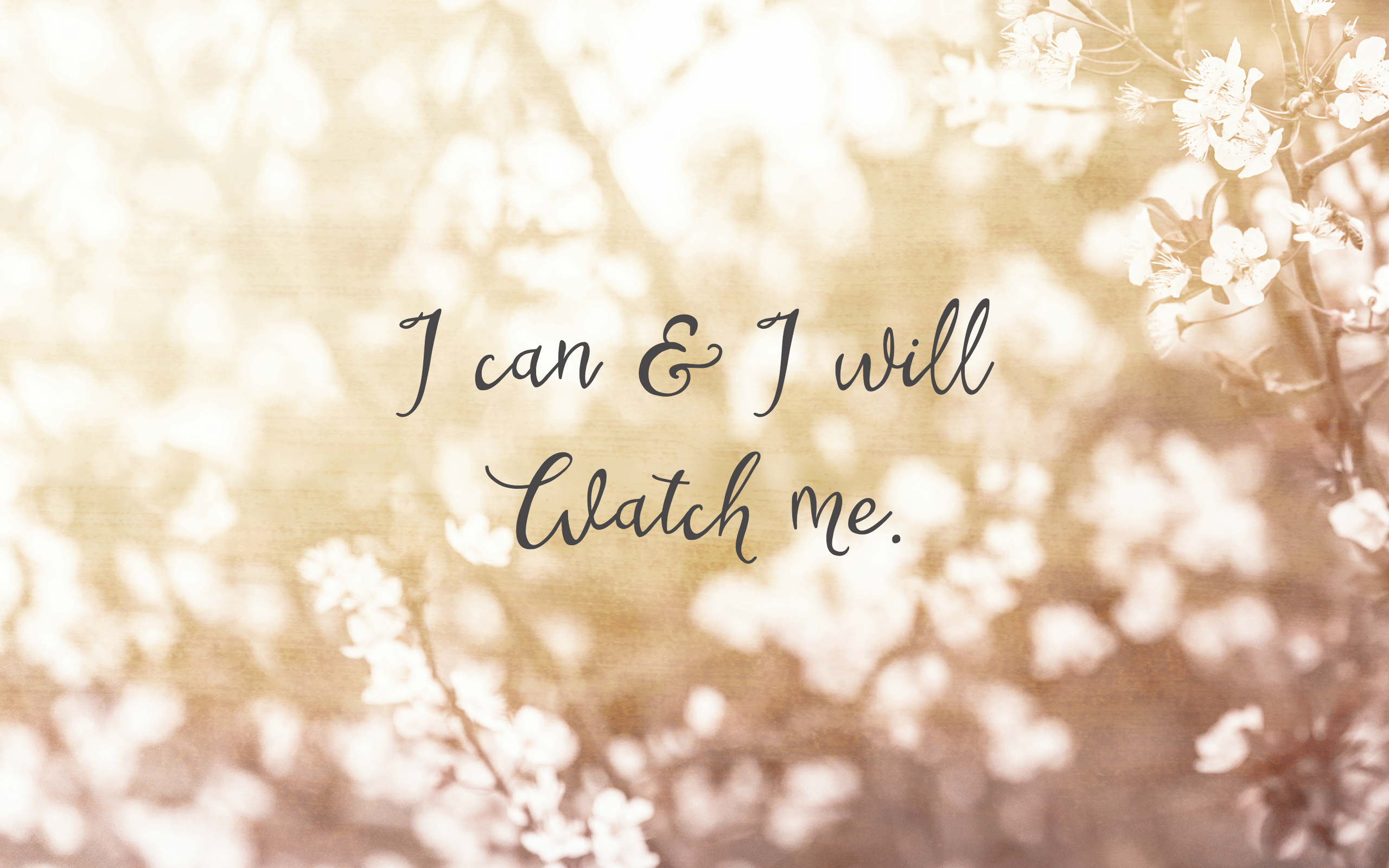 Desktop Wallpaper Quotes I Can And I Will Watch Me - 2560x1600 Wallpaper -  