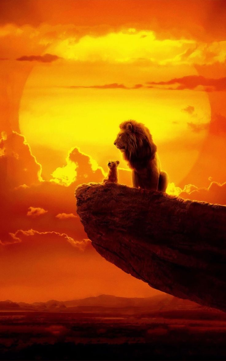 Lion King Wallpaper Iphone - HD Wallpaper 