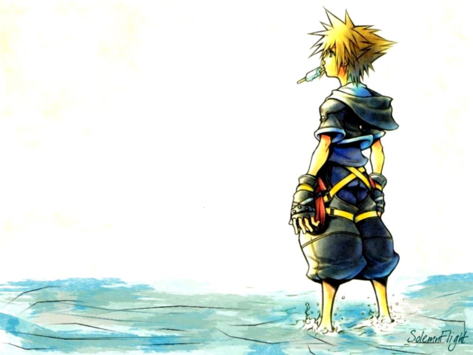 If You Havecould Have A Kingdom Hearts T Shirt What - Sora Wallpaper Kingdom Hearts - HD Wallpaper 