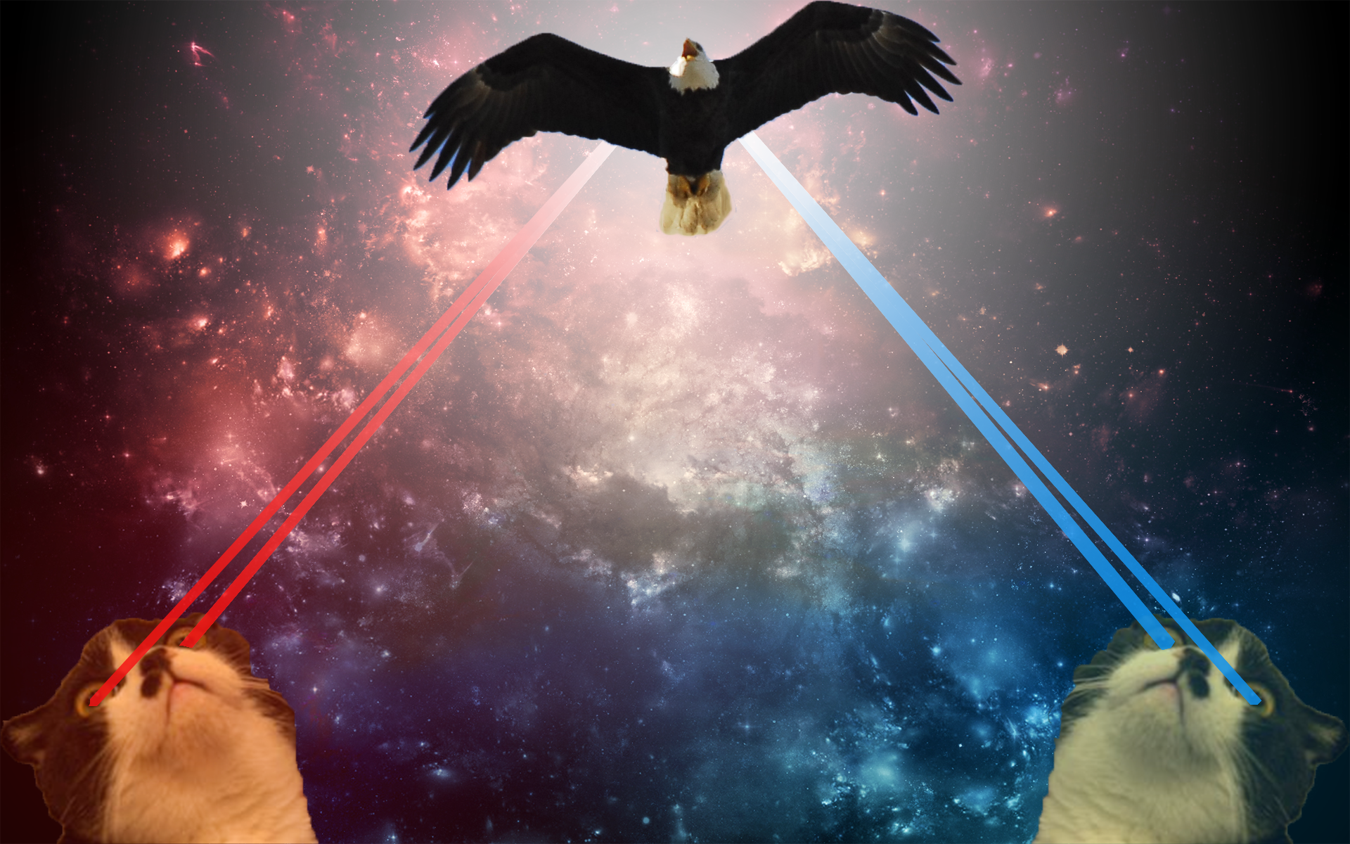 My Wallpaper - HD Wallpaper 