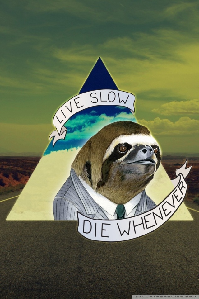 Iphone X Sloth - HD Wallpaper 