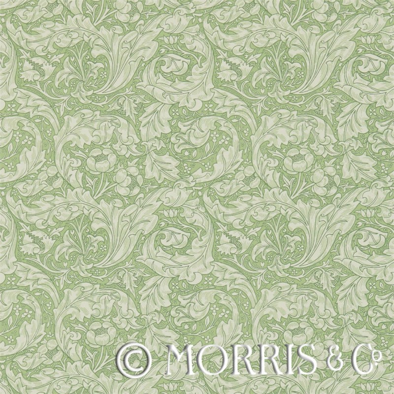 Bachelors Button Morris - HD Wallpaper 