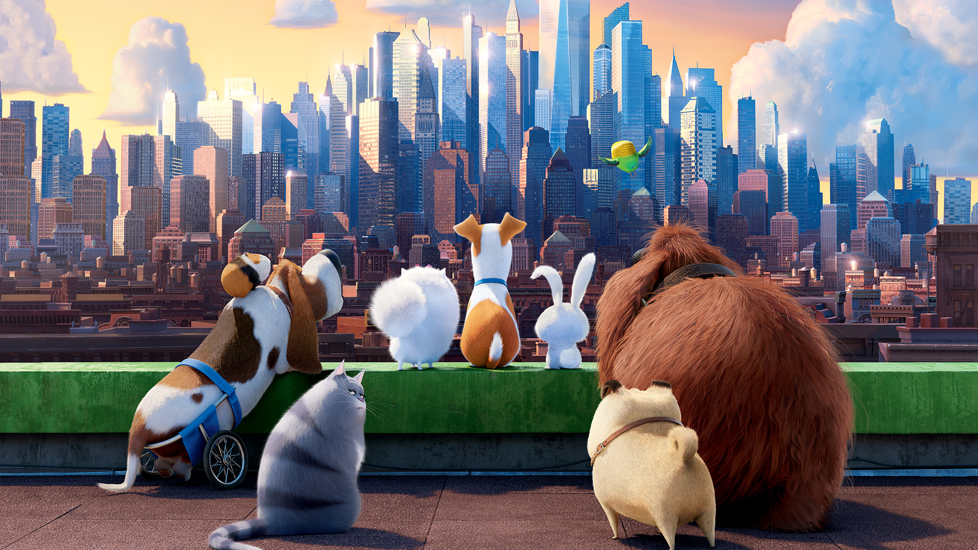 Secret Life Of Pets Ride Universal Studios Hollywood - HD Wallpaper 
