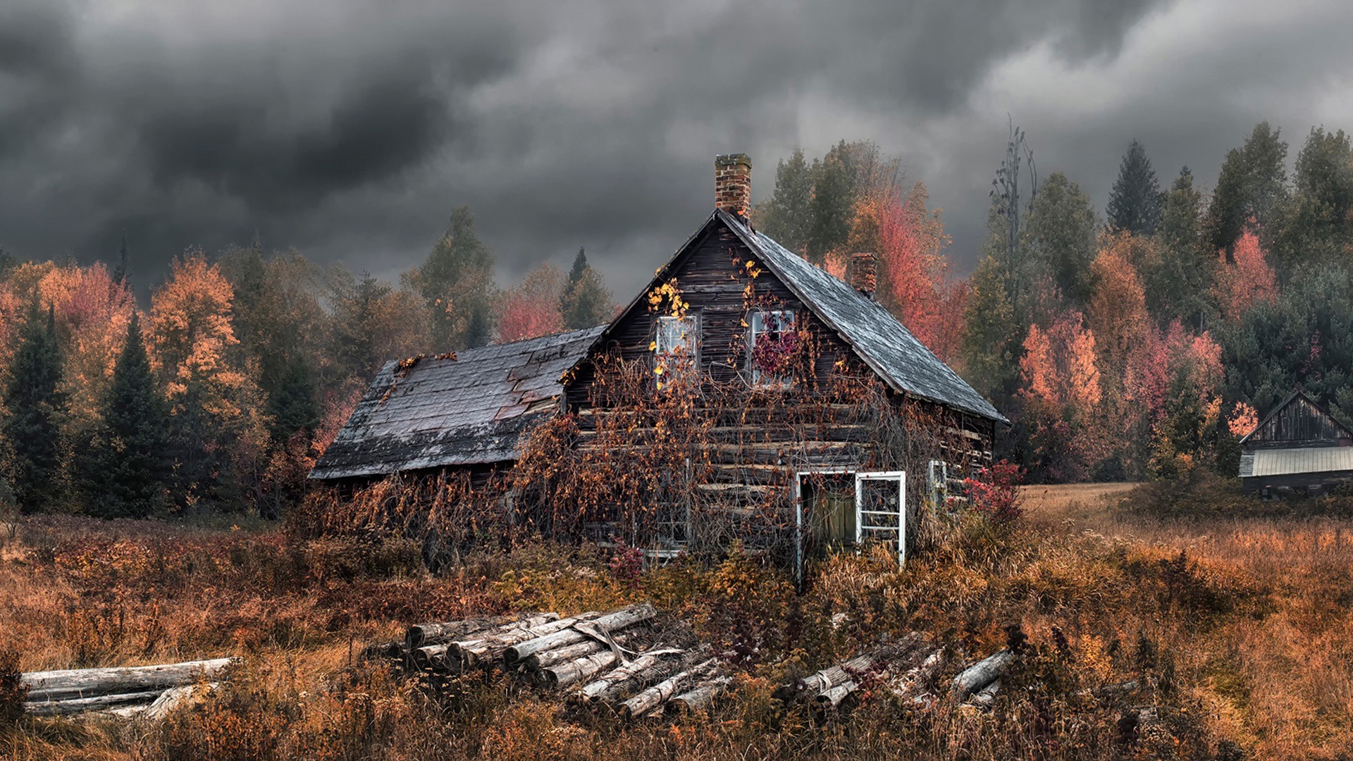 Wallpaper Old House, Autumn, Forest - Заброшенный Дом В Деревне - HD Wallpaper 