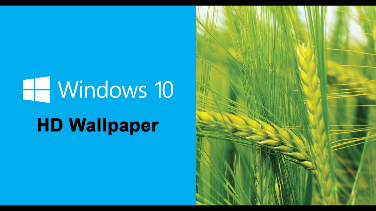 Windows 10 - HD Wallpaper 