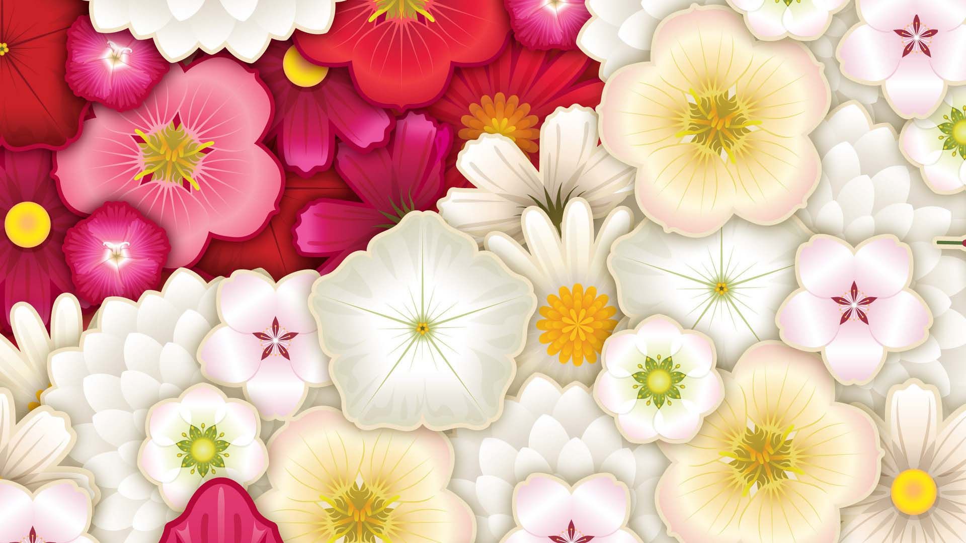 Flowers 564 Wallpaper - Phone 3gp - HD Wallpaper 