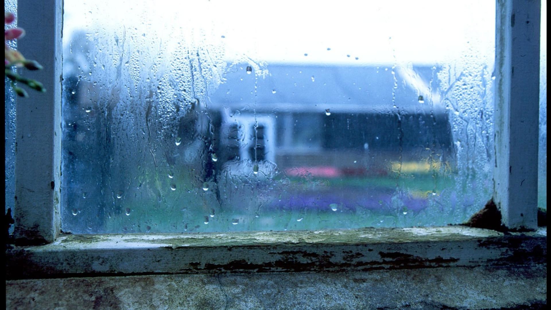 Wet Window After Rain Wallpaper Wallpaper 
 Data Src - Room Window Rain Wallpaper Hd - HD Wallpaper 