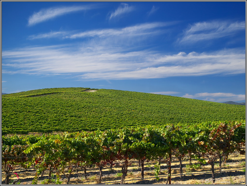 Windows Xp Background Place - HD Wallpaper 