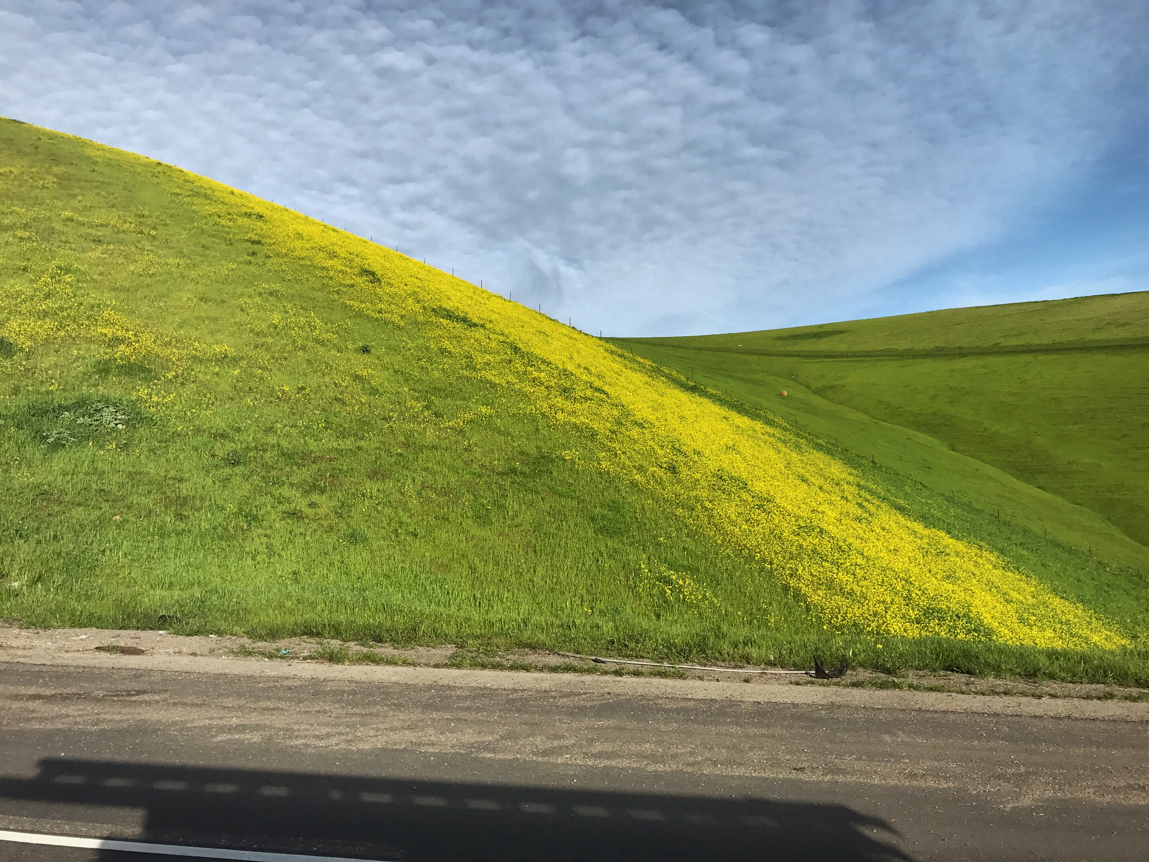Windows Background Wallpaper - HD Wallpaper 
