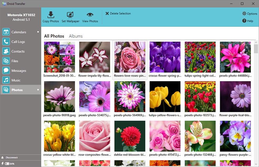 Viola - HD Wallpaper 