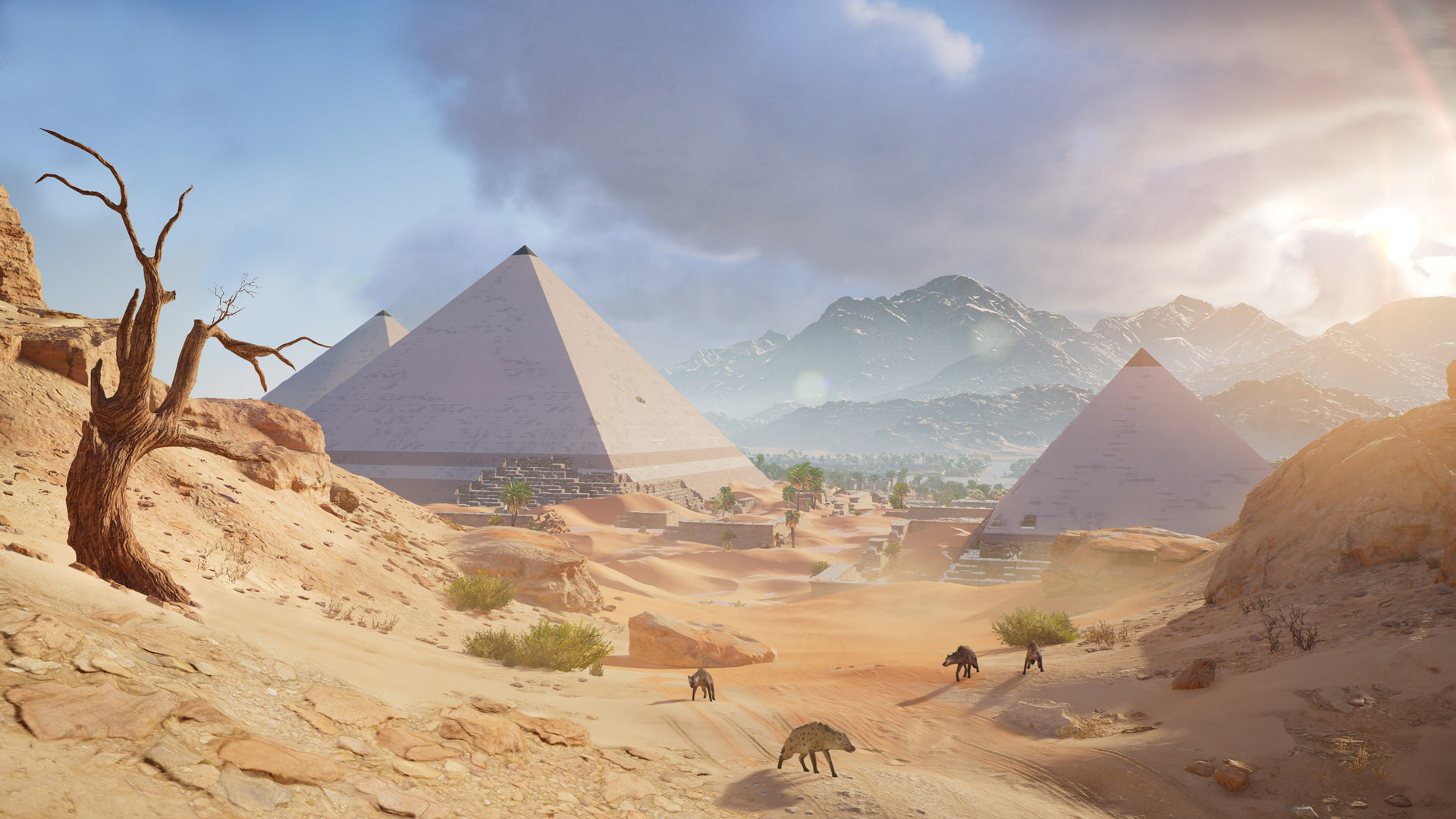 Assassin S Creed Origins Wallpaper In - Assassin's Creed Origins Pyramids - HD Wallpaper 