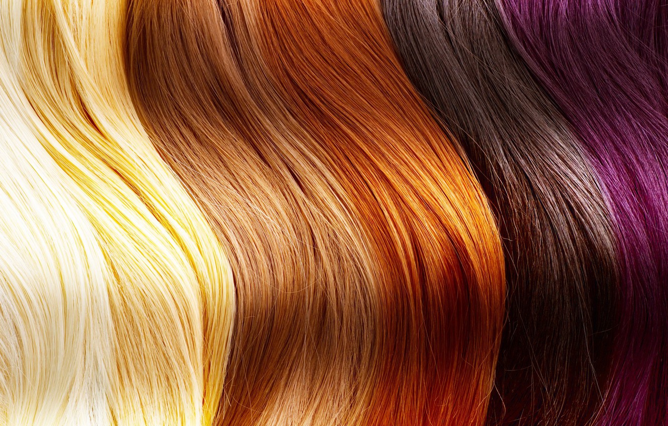 Photo Wallpaper Hair, Human, Different Shades - Loreal Professional Hair Colours - HD Wallpaper 