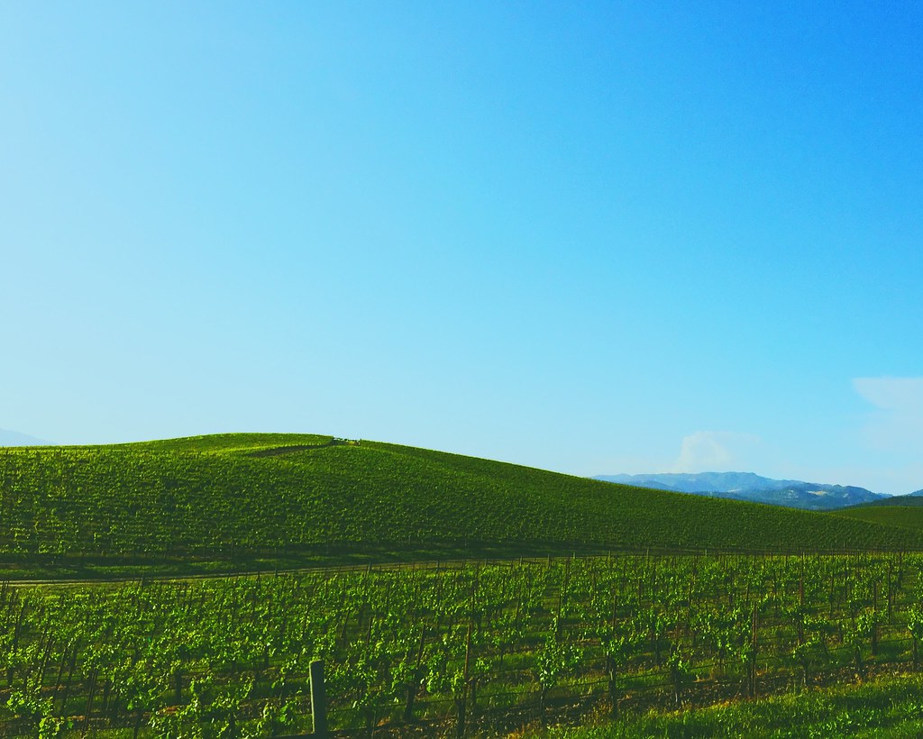 Field - HD Wallpaper 