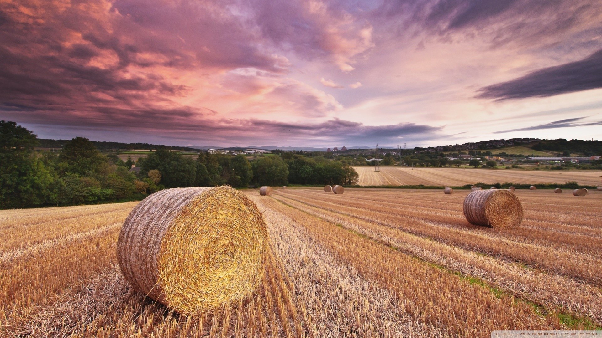 1920x1080, Standard 
 Data Id 222031 
 Data Src /walls/full/8/a/f/222031 - Harvest Wallpaper Hd - HD Wallpaper 