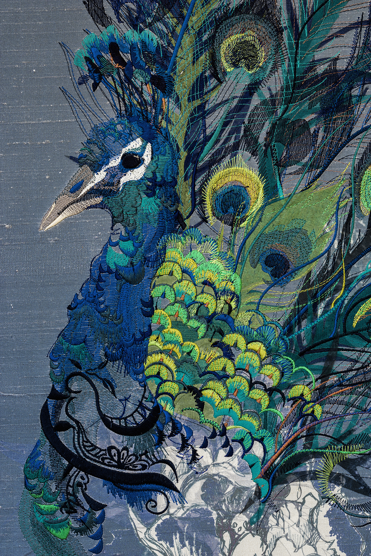 Watercolor Peacock - HD Wallpaper 